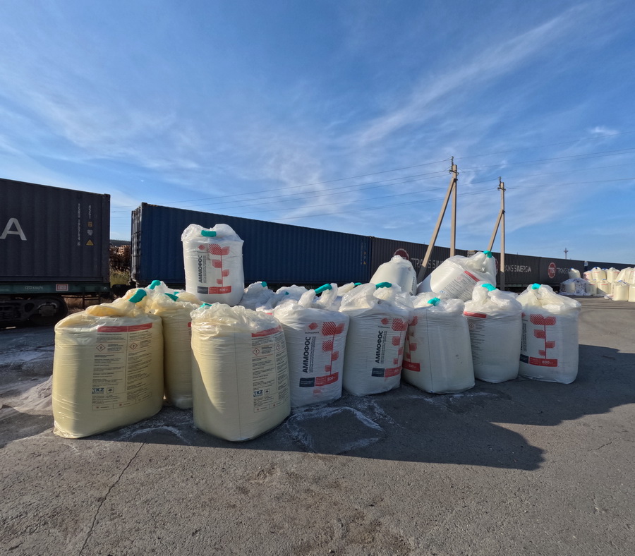 Рекордную по качеству пшеницу 1-го класса с клейковиной 38% получили в Костанае