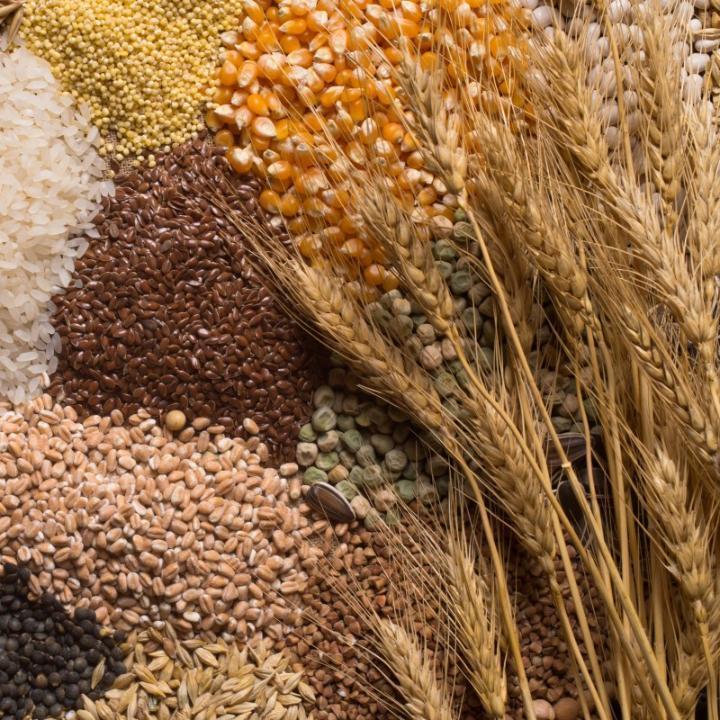 Рекомендации по торговле зерном и масличными культурами