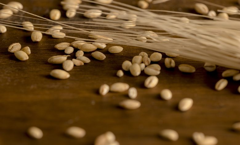 spike-wheat-granules-scattered-table-780x470.jpg