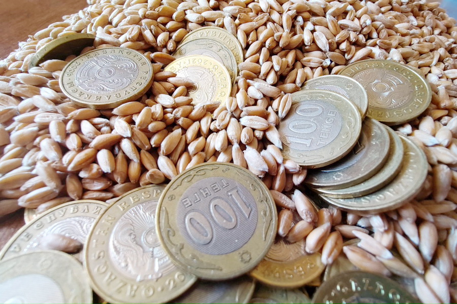 Минфин провоцирует крах зернового рынка Казахстана