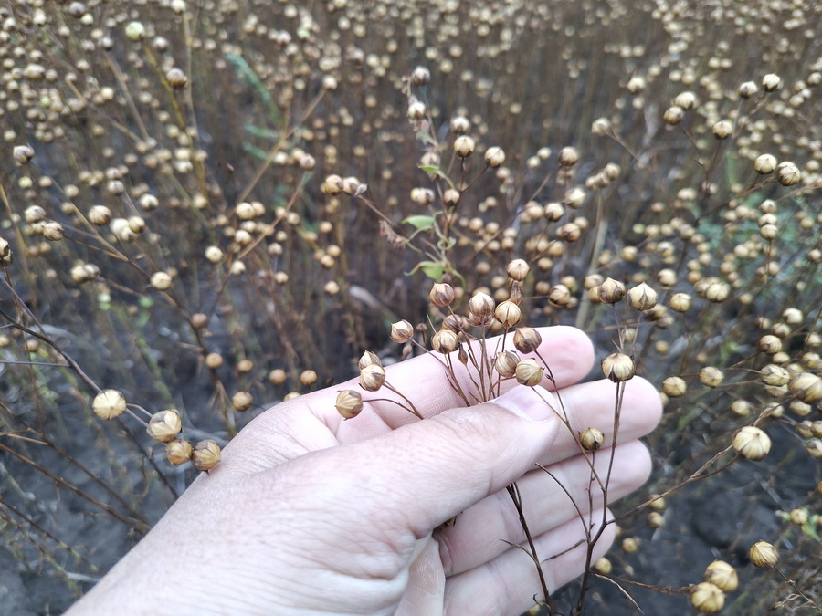 «Агро Беркут» ЖШС зығыры.jpg