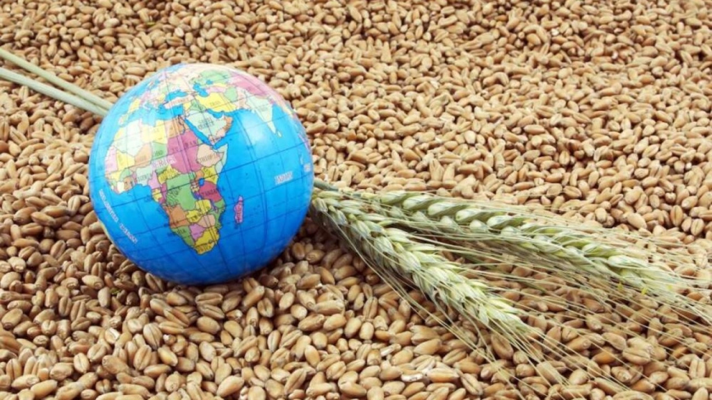 Қазақстан мен FAO: агроөнеркәсіп саласындағы стратегиялық әріптестік күшейіп келеді