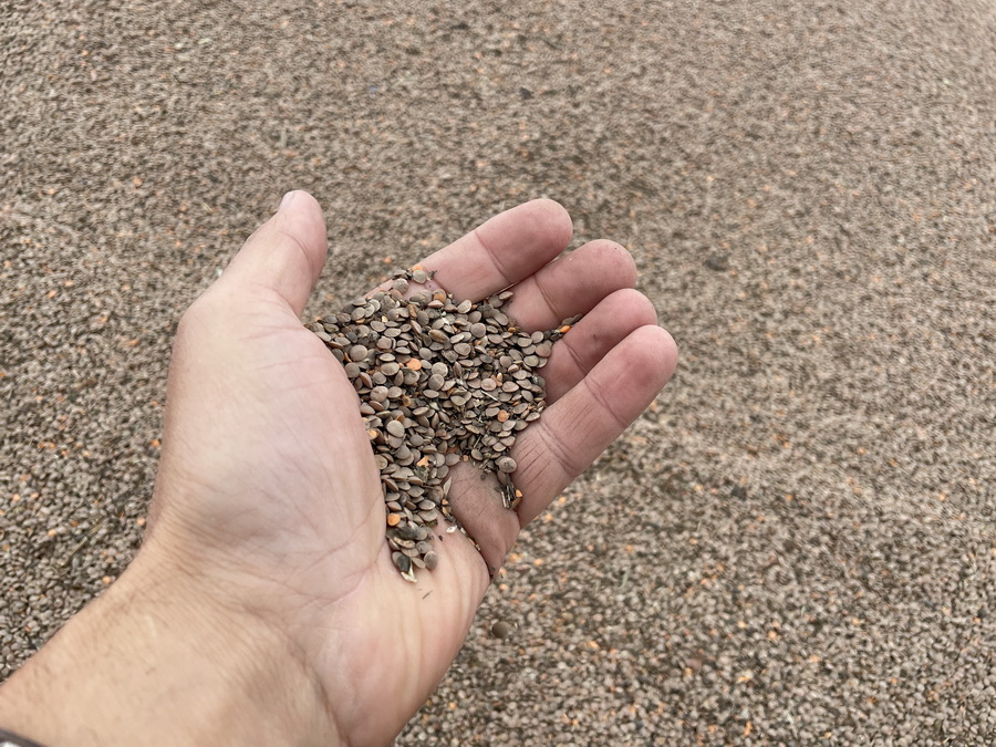 Зерно - Фото.jpg