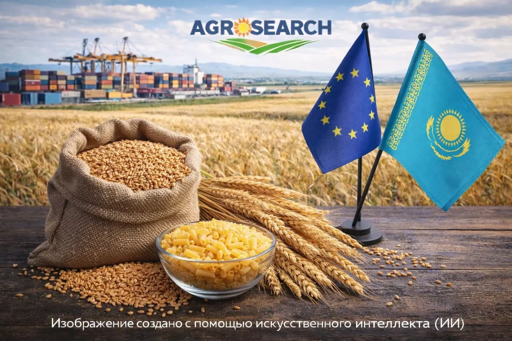 Kazakhstan increases durum wheat exports and ranks second in the EU